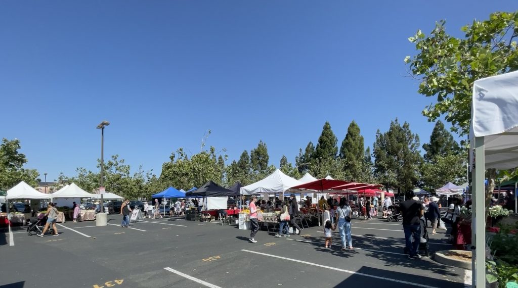 Castro Valley Market 2023