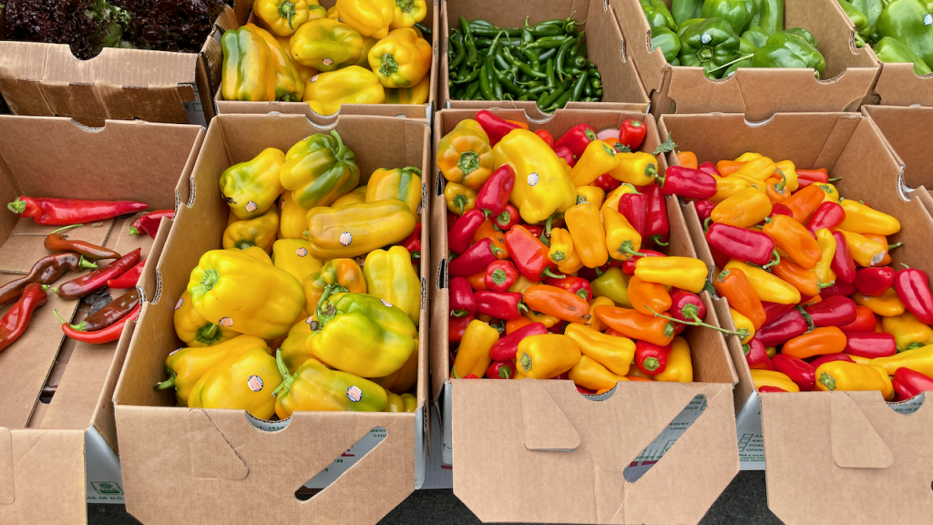 fresh peppers - Temescal Farmers' Market 11-5-2023