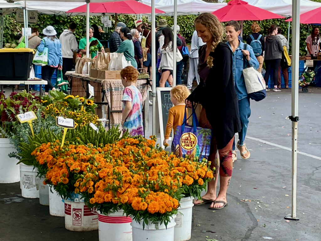 Flowers - Temescal Farmers' Market